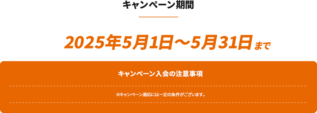 キャンペーン期間